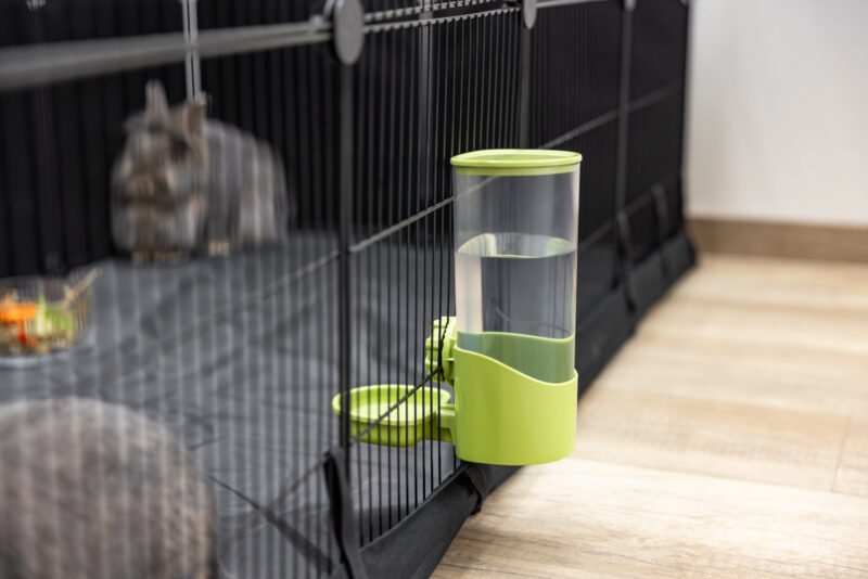 Water Dispenser