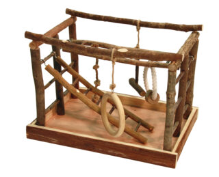 Bird Play Area