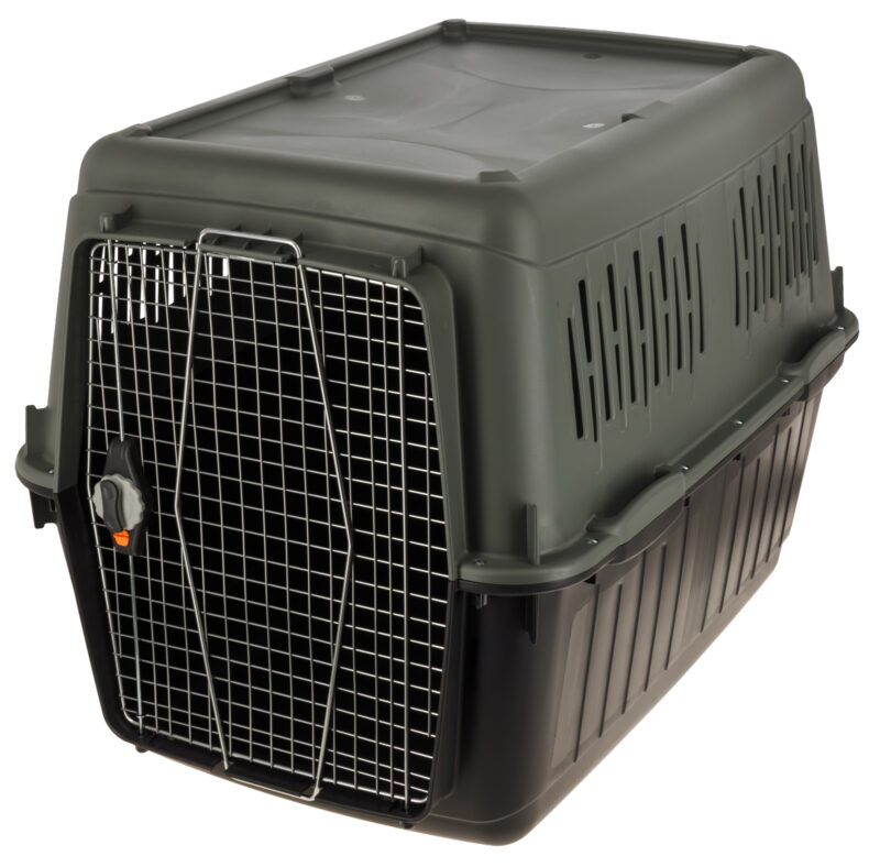 Box de transport ECO