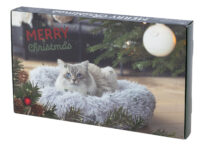 Calendrier de l'Avent pour chat