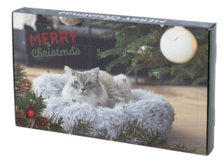 Calendrier de l'Avent pour chat