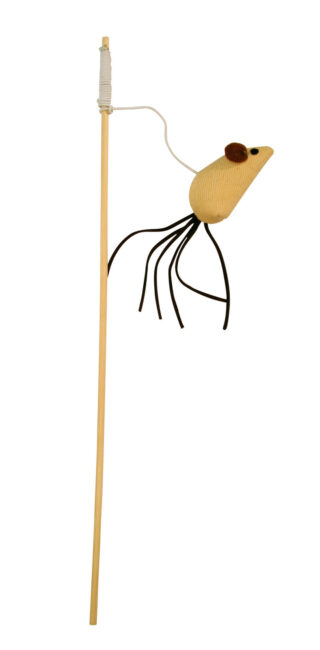Cat Play Fishing Rod Maus Nature