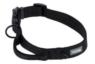 Collar Dallas