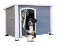Dog House Kenny
