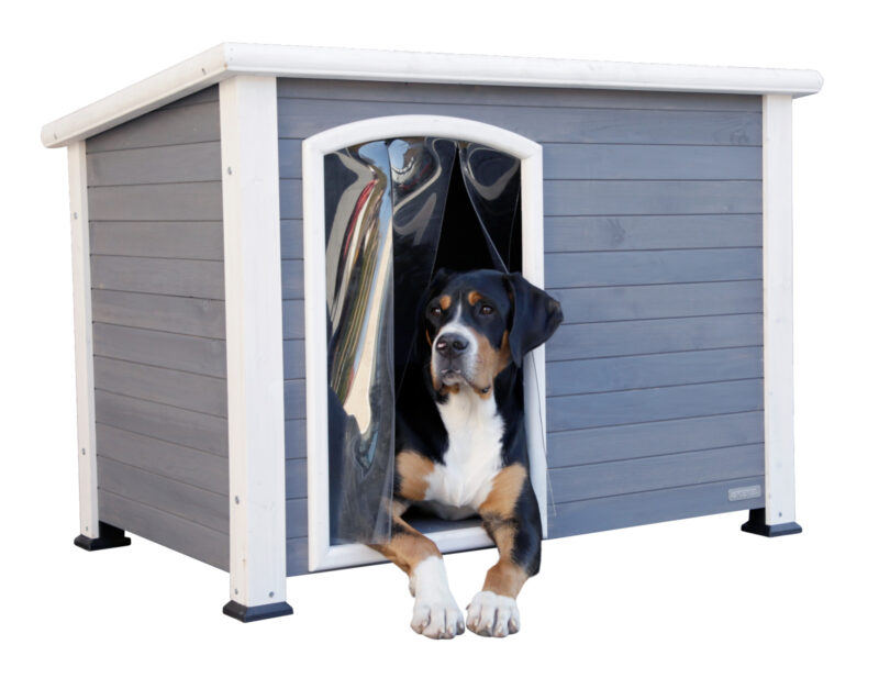 Dog House Kenny