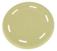 Frisbee