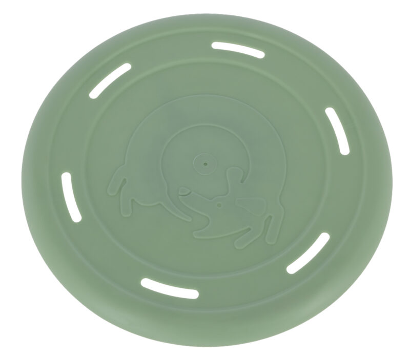 Frisbee