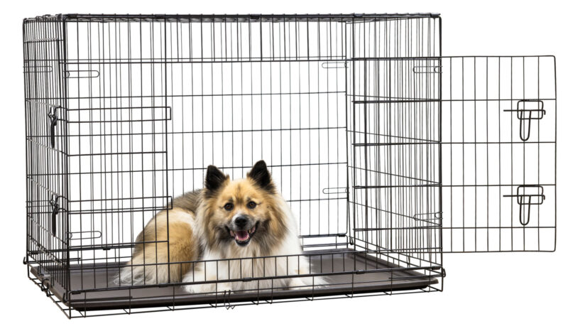 Gittertransportbox