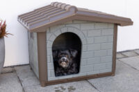 Hundehütte Levin Eco
