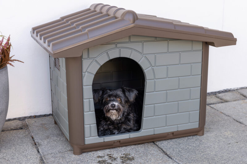 Hundehütte Levin Eco