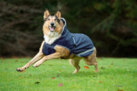Hundemantel Freedom