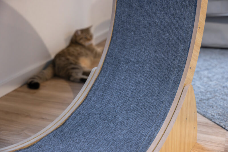 Katzenlaufrad