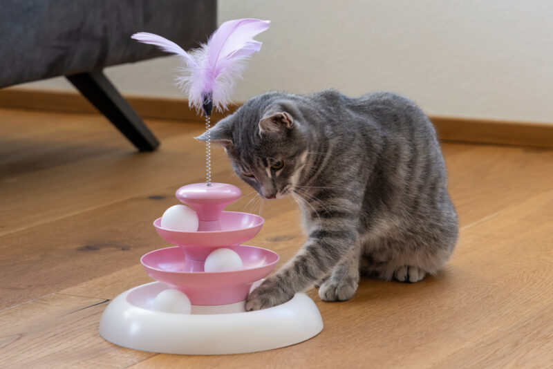 Katzenspielzeug Cloudi