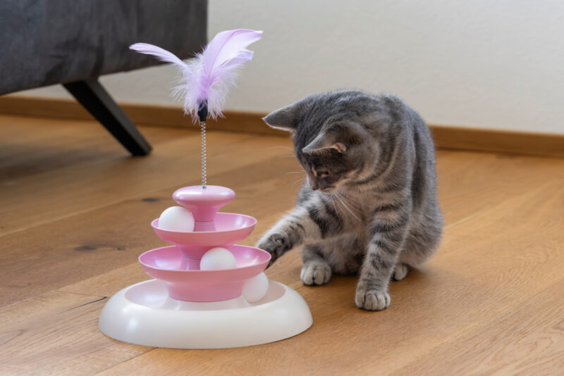 Katzenspielzeug Cloudi