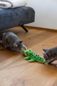 Katzenspielzeug Jumping
