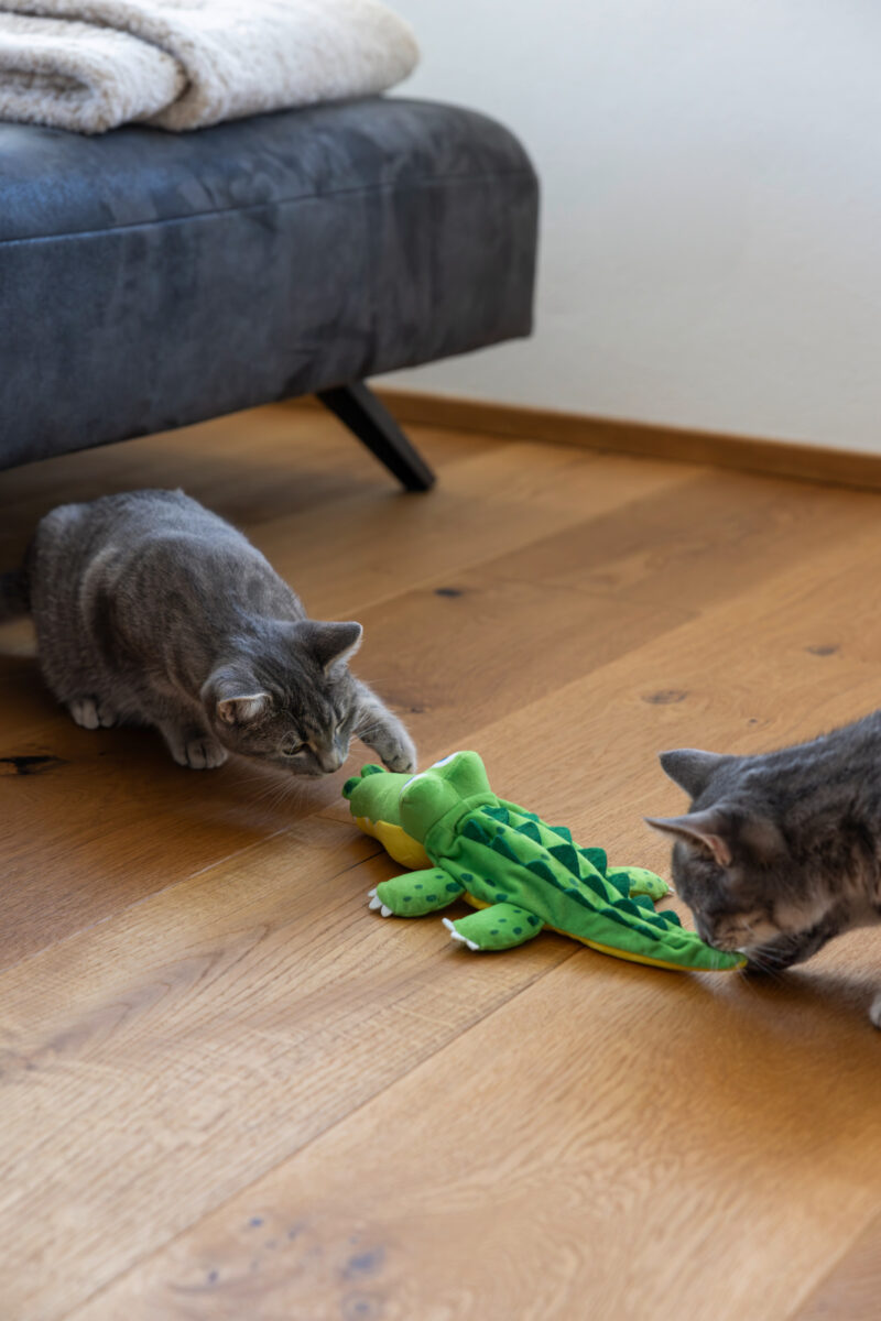Katzenspielzeug Jumping