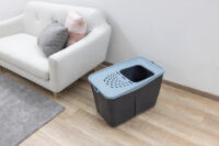 Katzentoilette Buxo