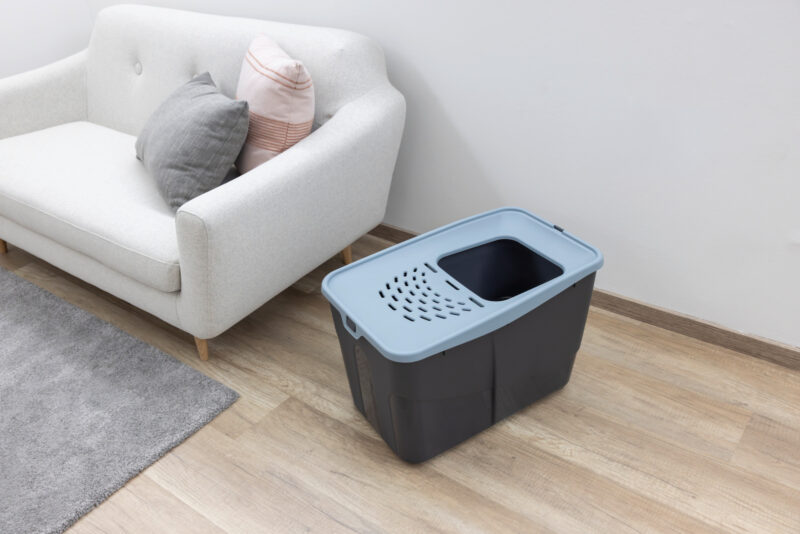 Katzentoilette Buxo