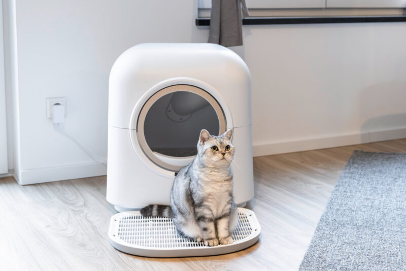 Katzentoilette Smart