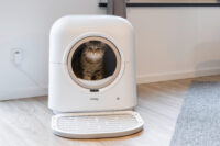 Katzentoilette Smart