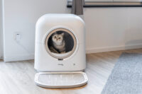 Katzentoilette Smart