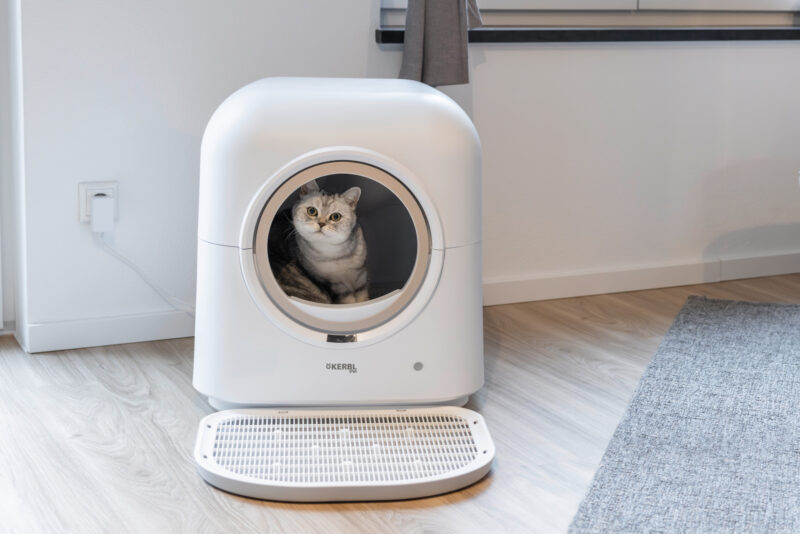 Katzentoilette Smart