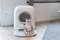 Katzentoilette Smart