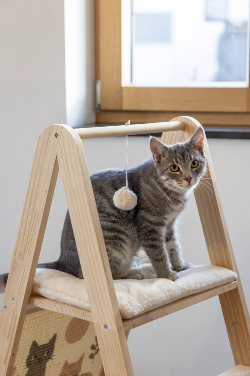 Kletterturm Ladder