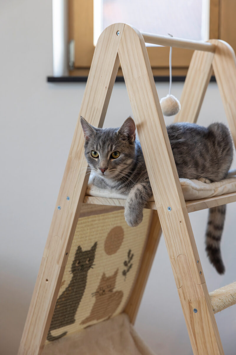 Kletterturm Ladder