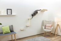 Kletterwand Monte Prado