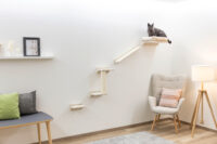 Kletterwand Monte Prado