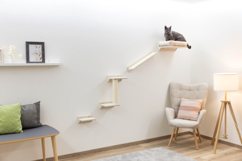 Kletterwand Monte Prado