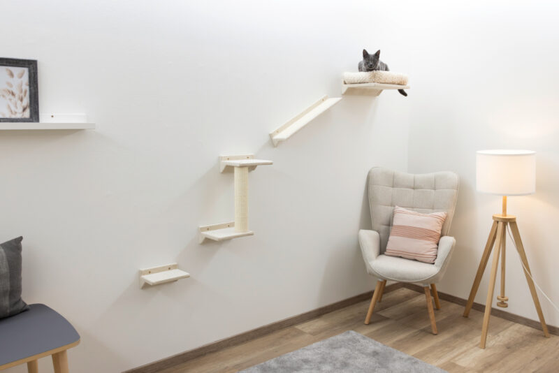 Kletterwand Monte Prado