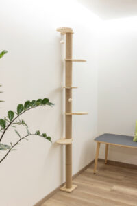 Kratzbaum Timber