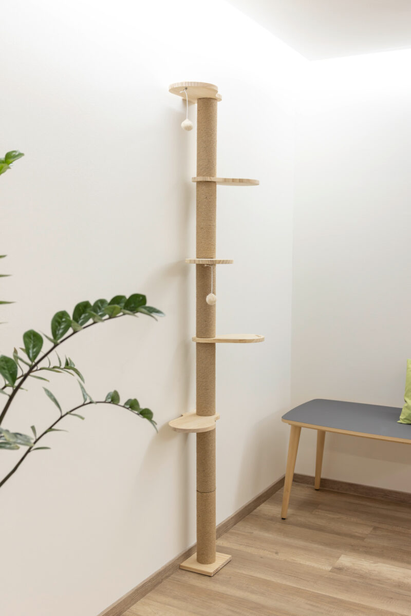 Kratzbaum Timber