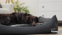 Kuschelbett Platin Ortho