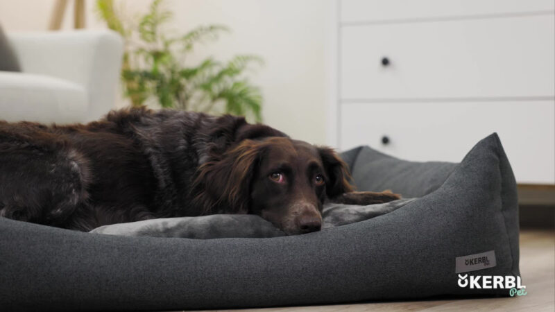 Kuschelbett Platin Ortho