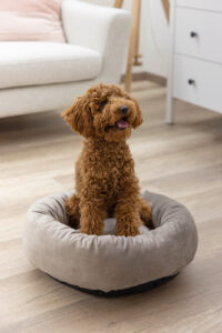 Kuschelbett Velvet