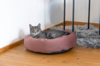 Kuschelbett Velvet