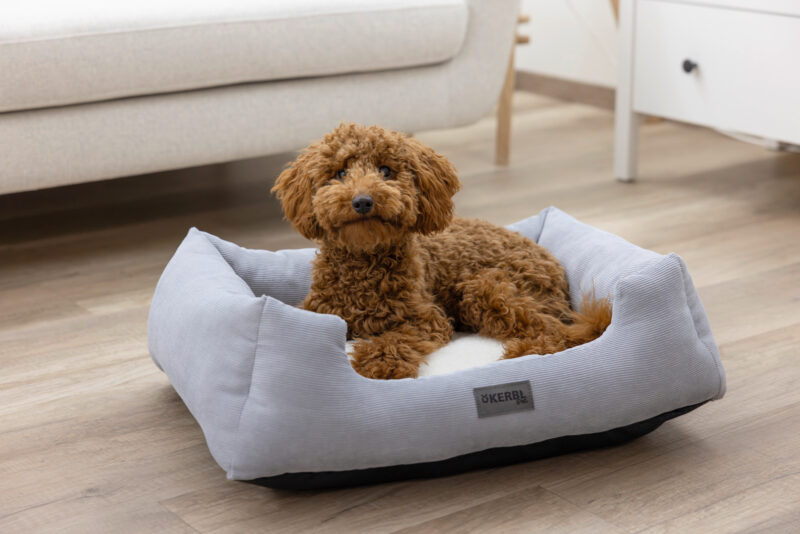 Kuschelbett Zoe