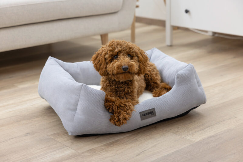 Kuschelbett Zoe