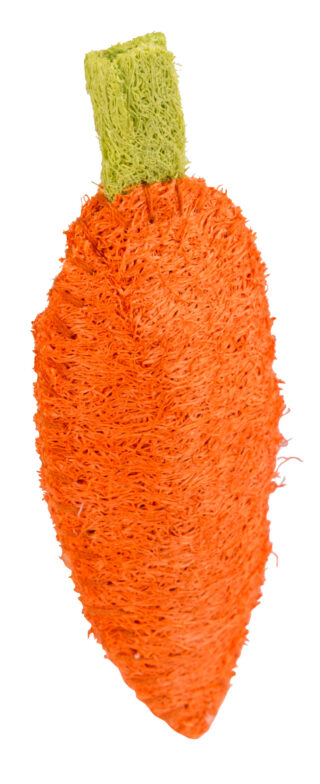 Loofah Carrot