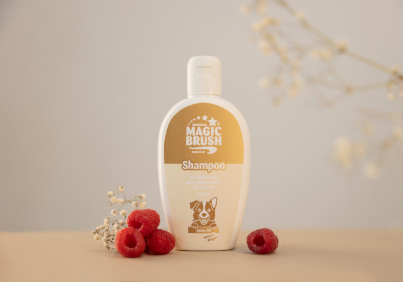 MagicBrush Hundeshampoo für dunkles Fell
