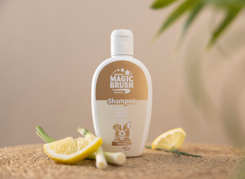 MagicBrush Hundeshampoo Universal