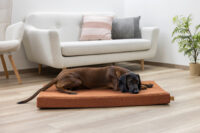 Memory-Foam Matratze Oliver