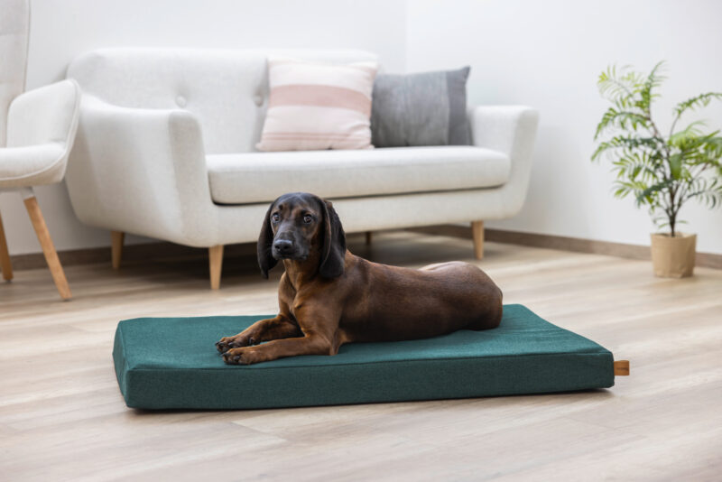 Memory-Foam Matratze Oliver