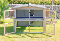 Nagerstall Suite