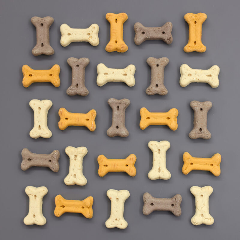 Pet Rewards Kekse Junior Mix