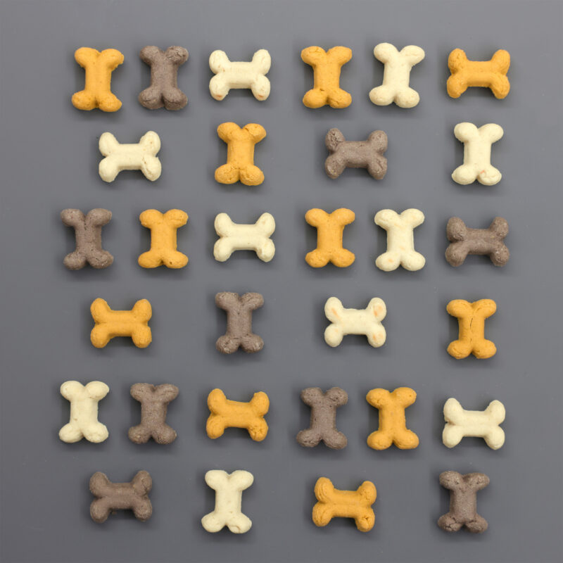 Pet Rewards Kekse Puppy Mix
