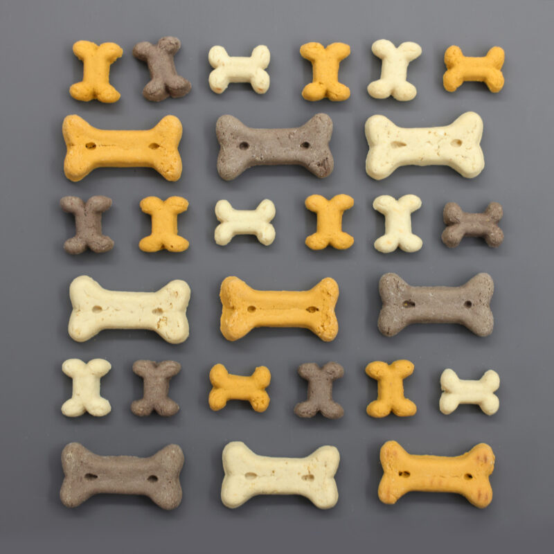 Pet Rewards Kekse Puppy Mix